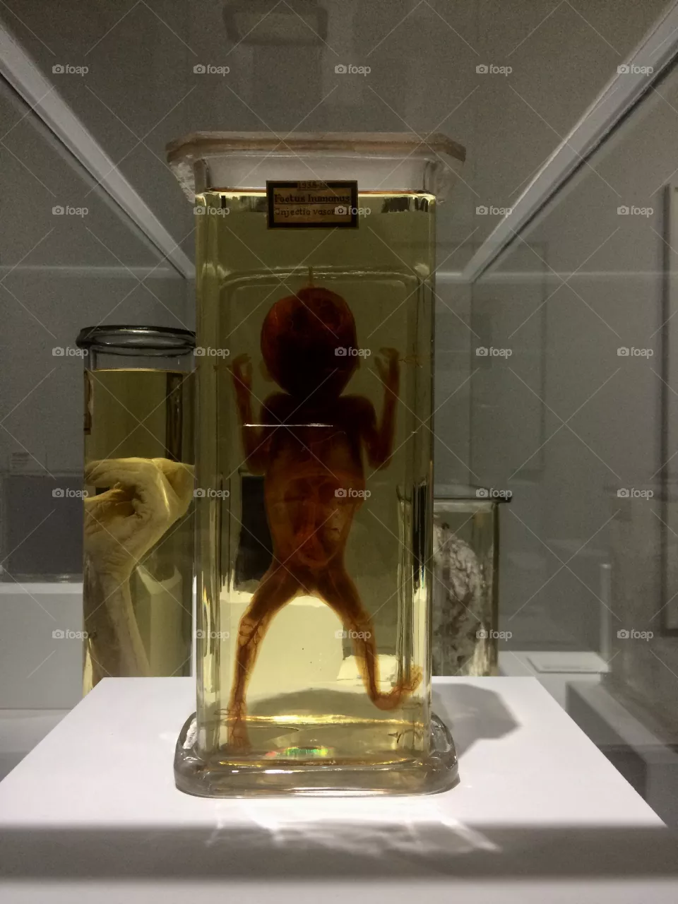 Museum