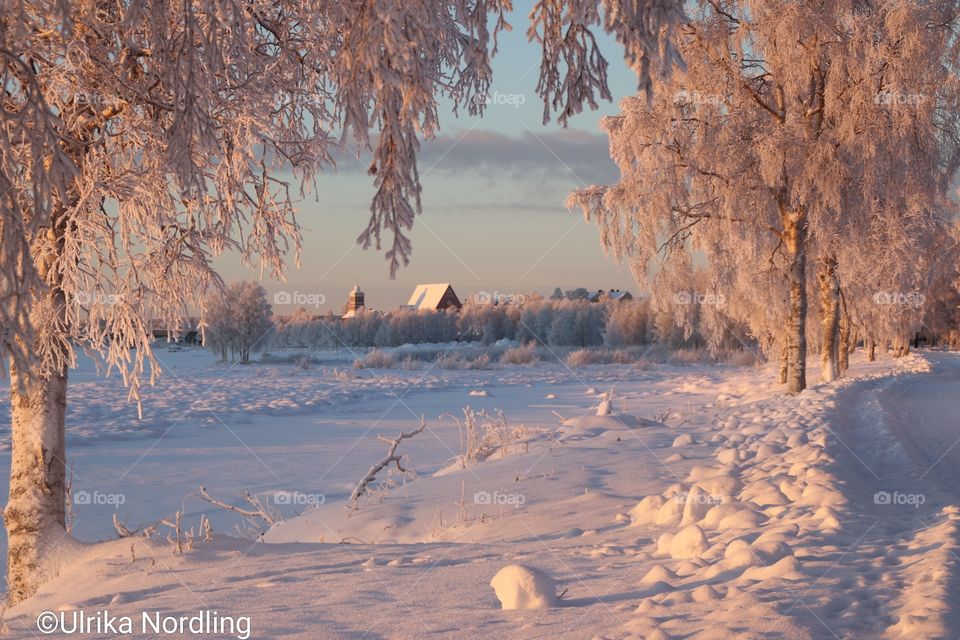 Winter in the north of Sweden