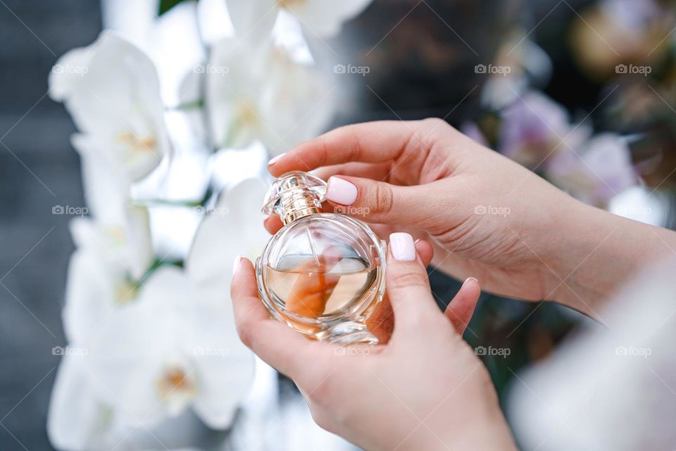 Woman hands holding a bottle of perfume. Feminine and elegance. Eau de toilette