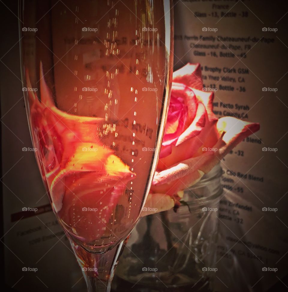 Rose champagne 
