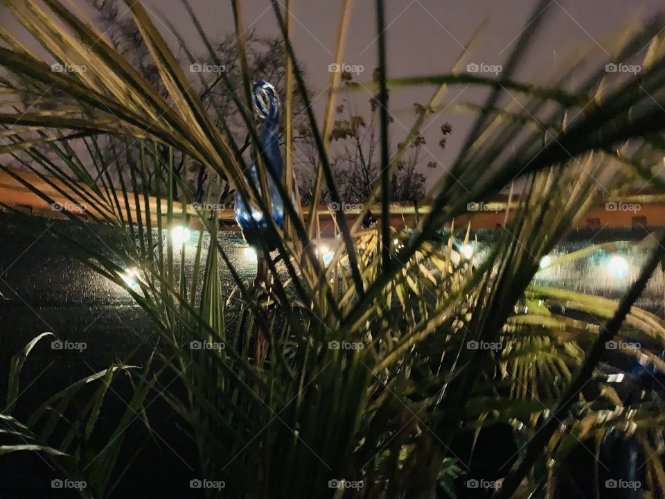 Just before dawn. The patio lights on the deck, during an Autumn rain shower. 