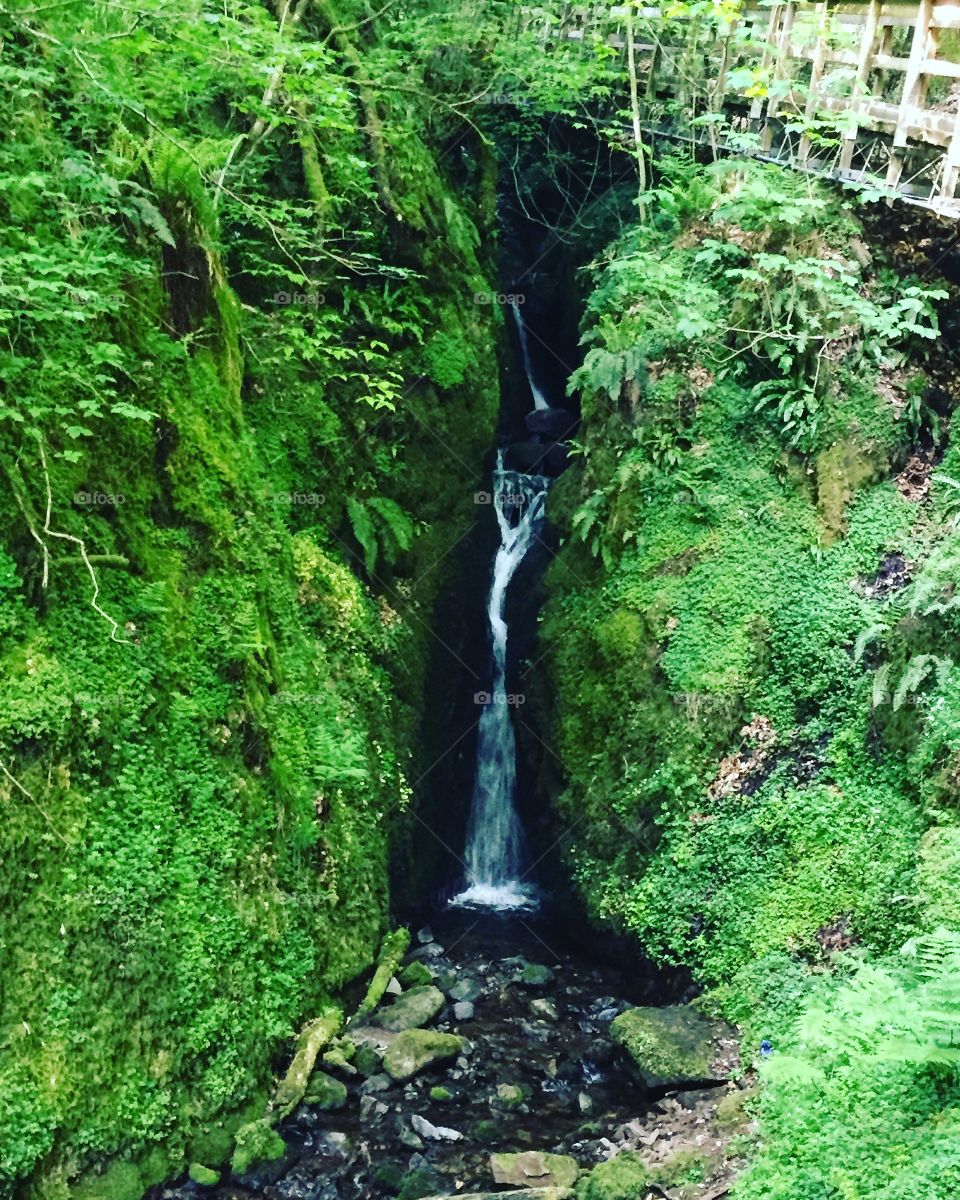 Waterfall at Dollar Glen, Scotland!! 