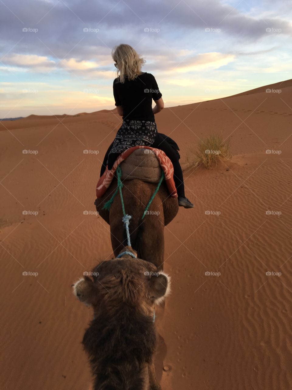Girl in caravan in the Sahara desert Morocco 