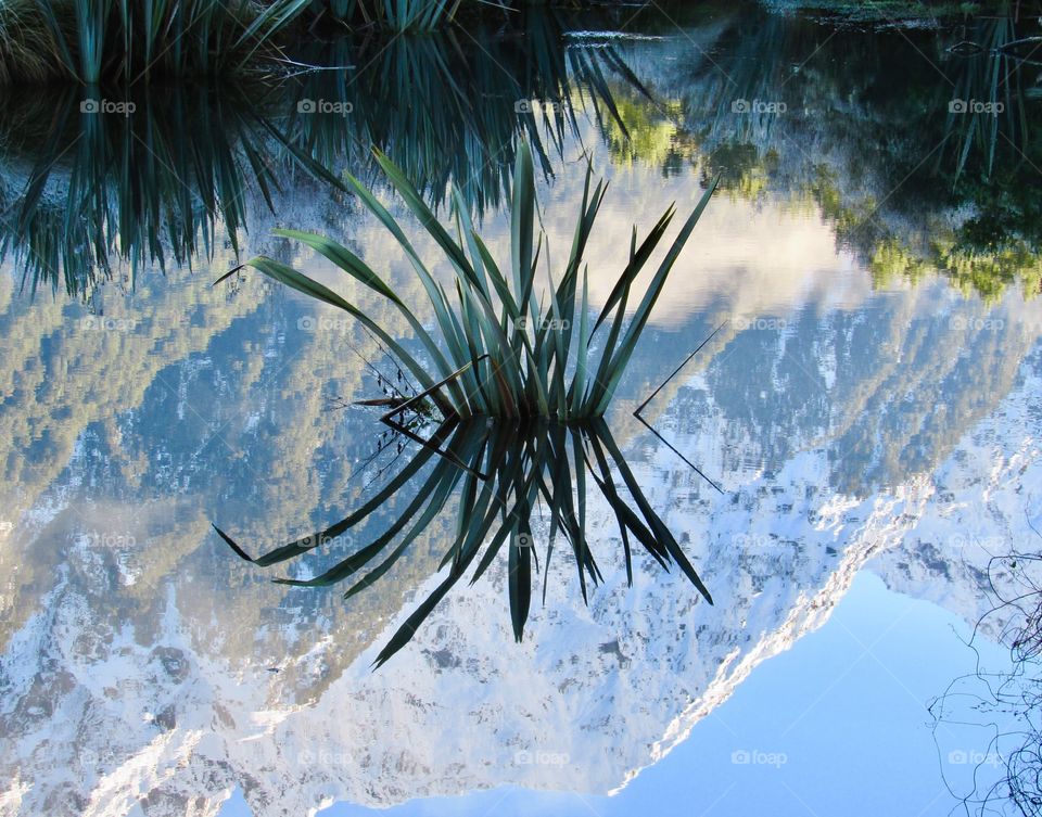 More from New Zealand’s mirror lakes. Even the puddles on the side of the road there are tourist worthy!