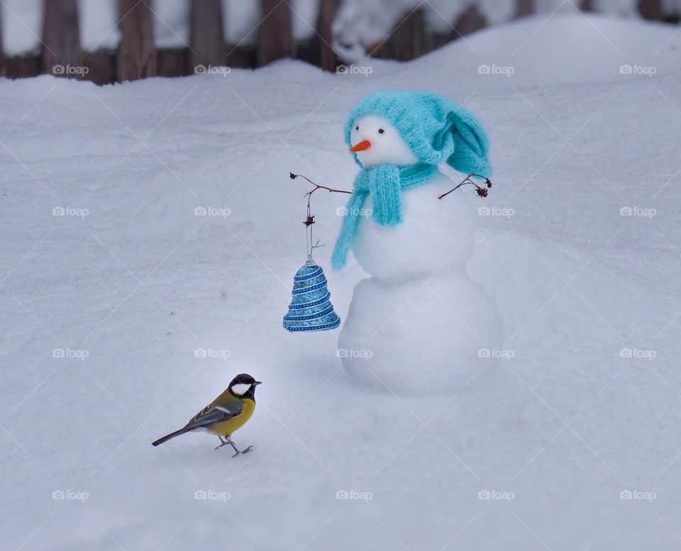 Bird tit next to a snowman