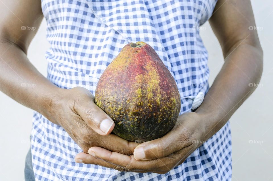 An Avocado In Hands