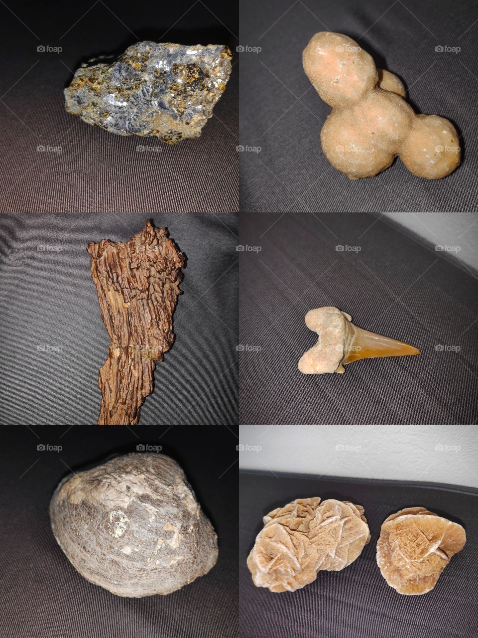 1: Meteorite 2: Fossil of excrement of camel 3:Fossil of wood 4:Fossil of a tooth of shark 5: Fossil of mold 6: desert Rose.
(All founded in Australia , but I had  do the photos one month later , when I was in Germany for expeditions).
