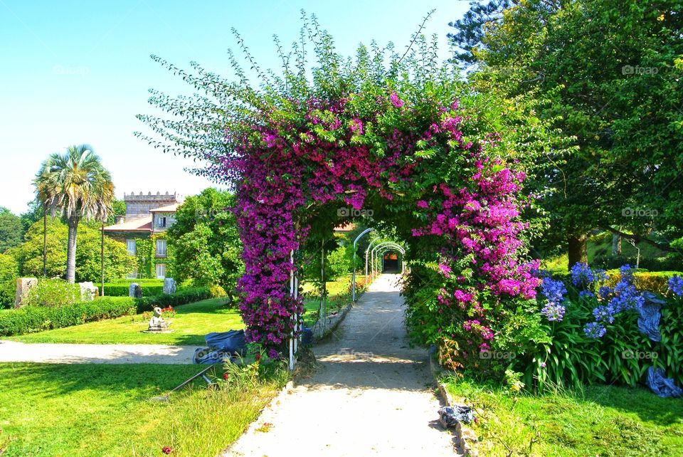 flower arch