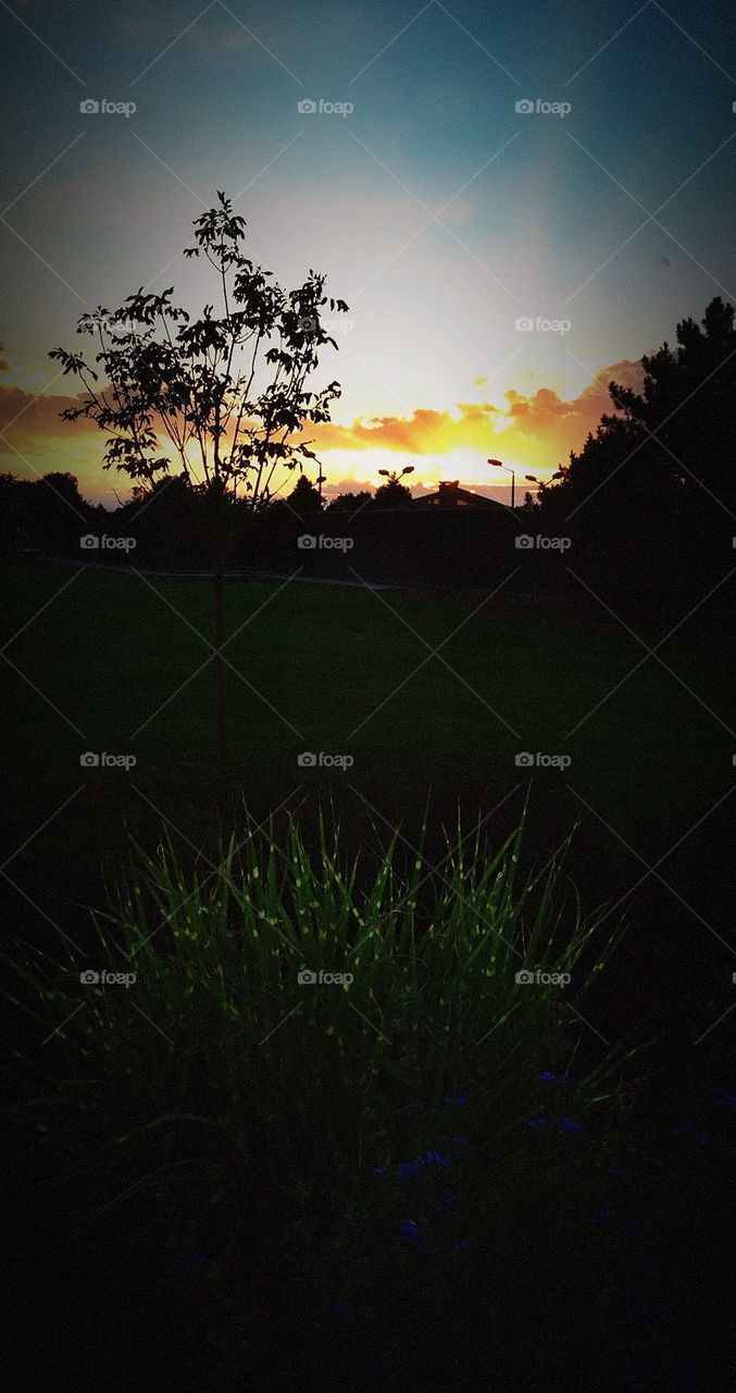 Rocky Mountain sunset