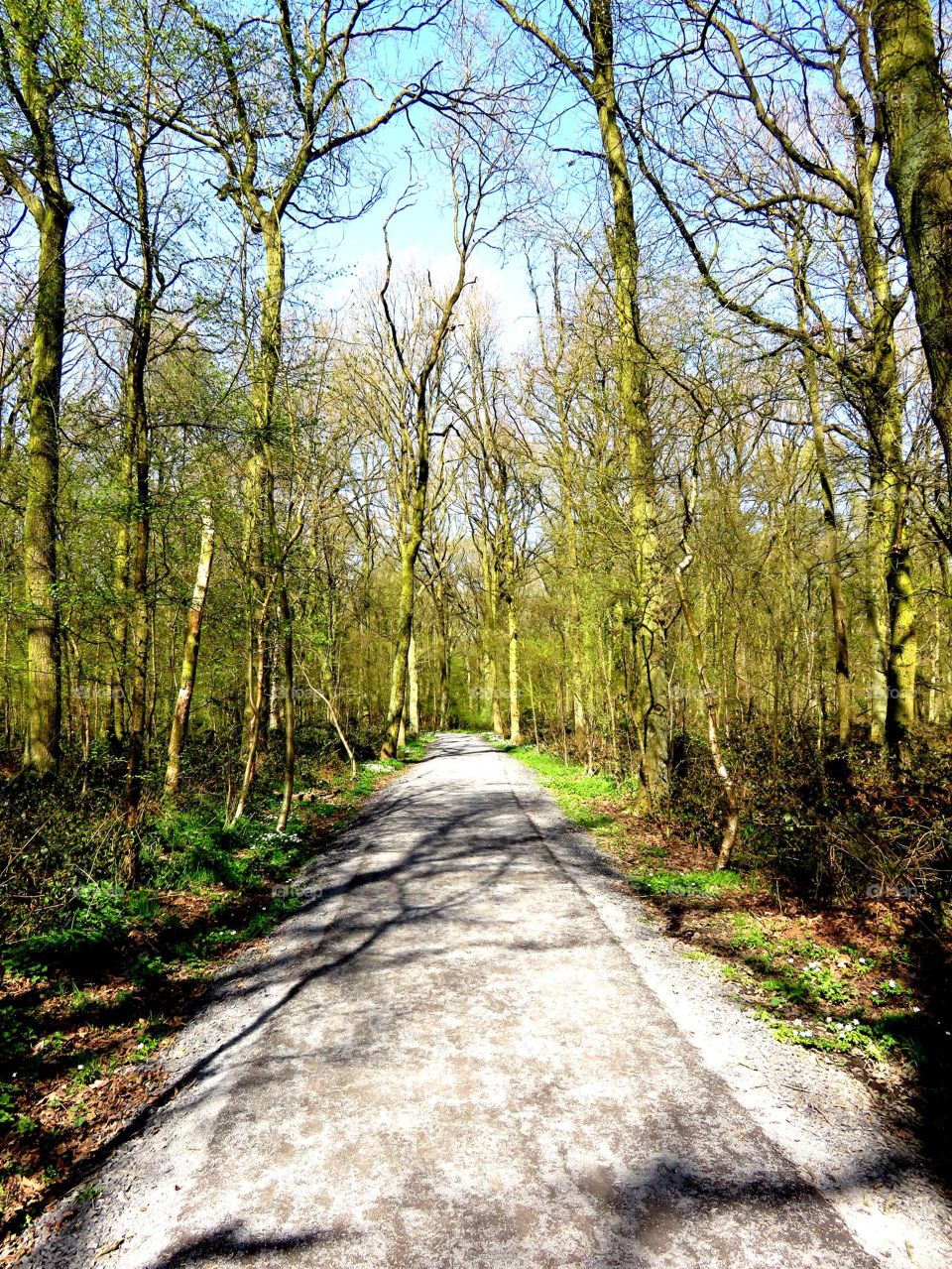 Around Lille, Northern France