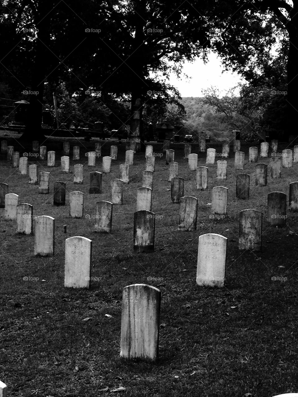 Unknown graves, black, dead, cemetery 