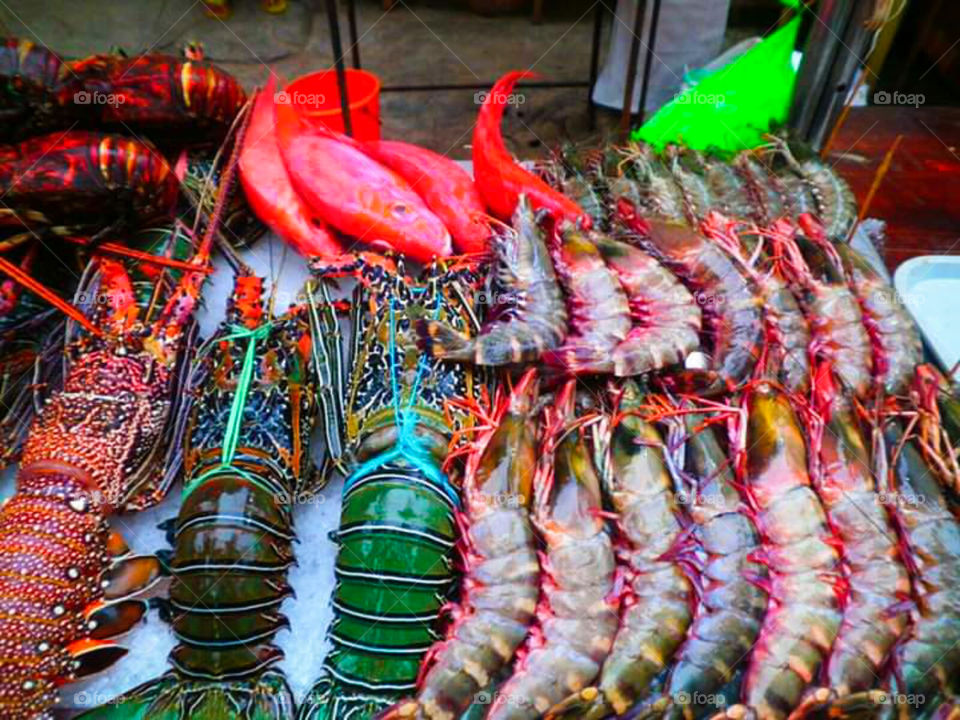 Bounty from the seas