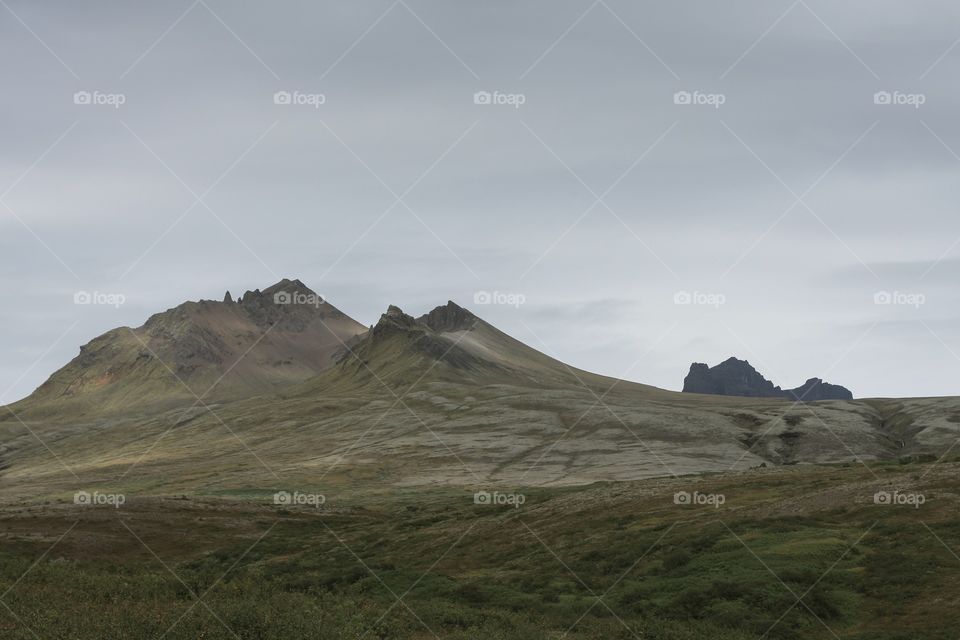Icelandic highland 