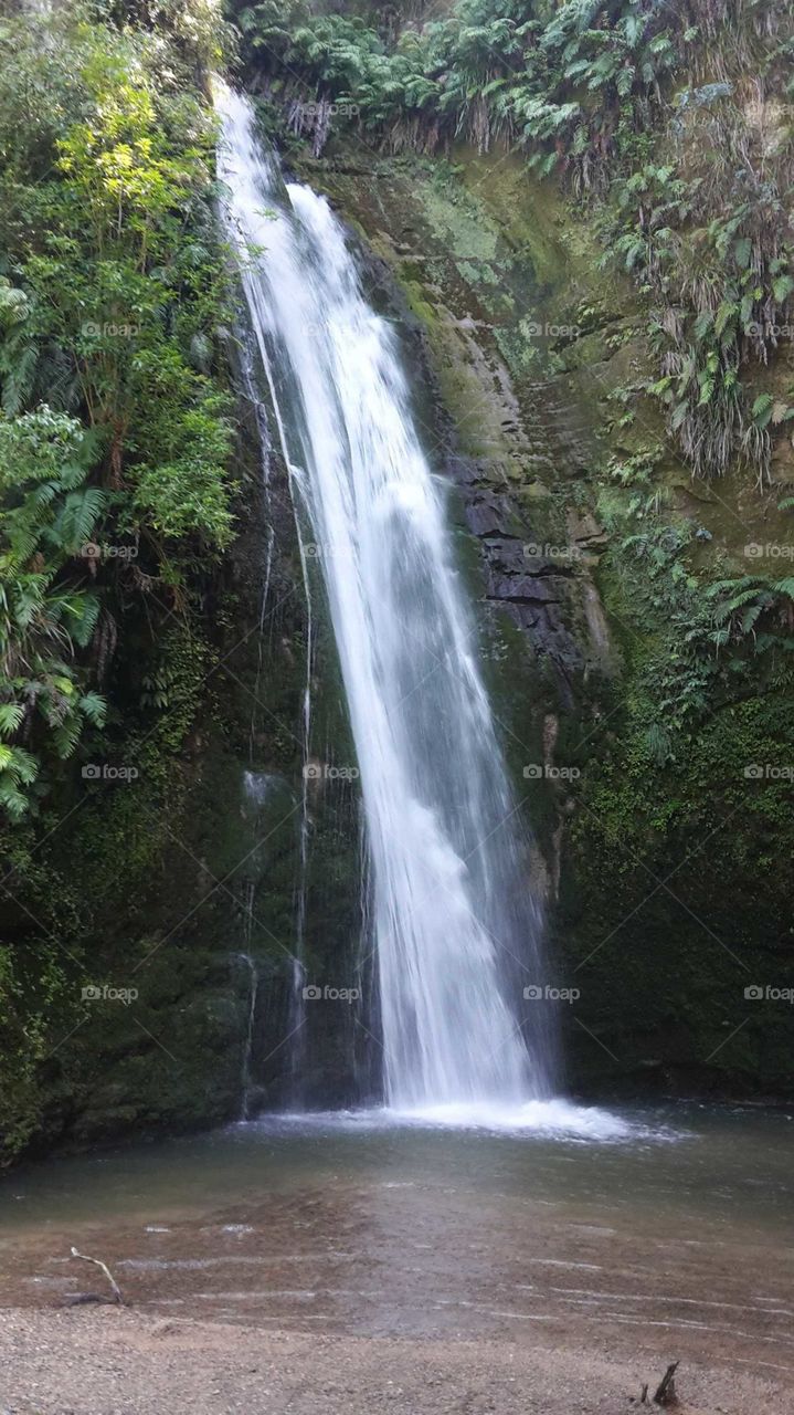 "Teana Falls" beautiful waterfall located in Tangoio NewZealand. A short hike to this hidden treasure.