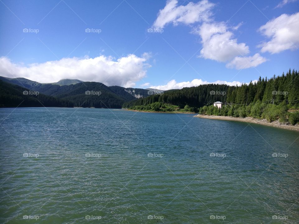 quiet lake