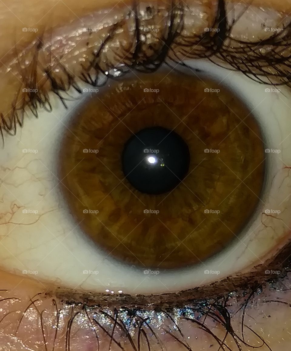 beautiful brown eye