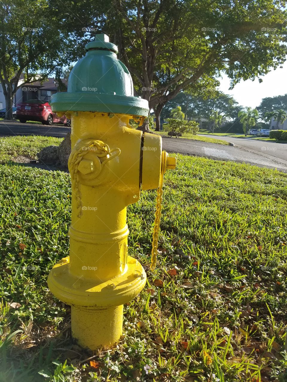 hydrant