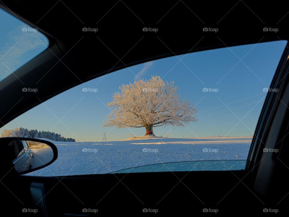 I ❤️VE this sight from the car window.
Snow and cold weather, cold winter moments its beautiful ❤️