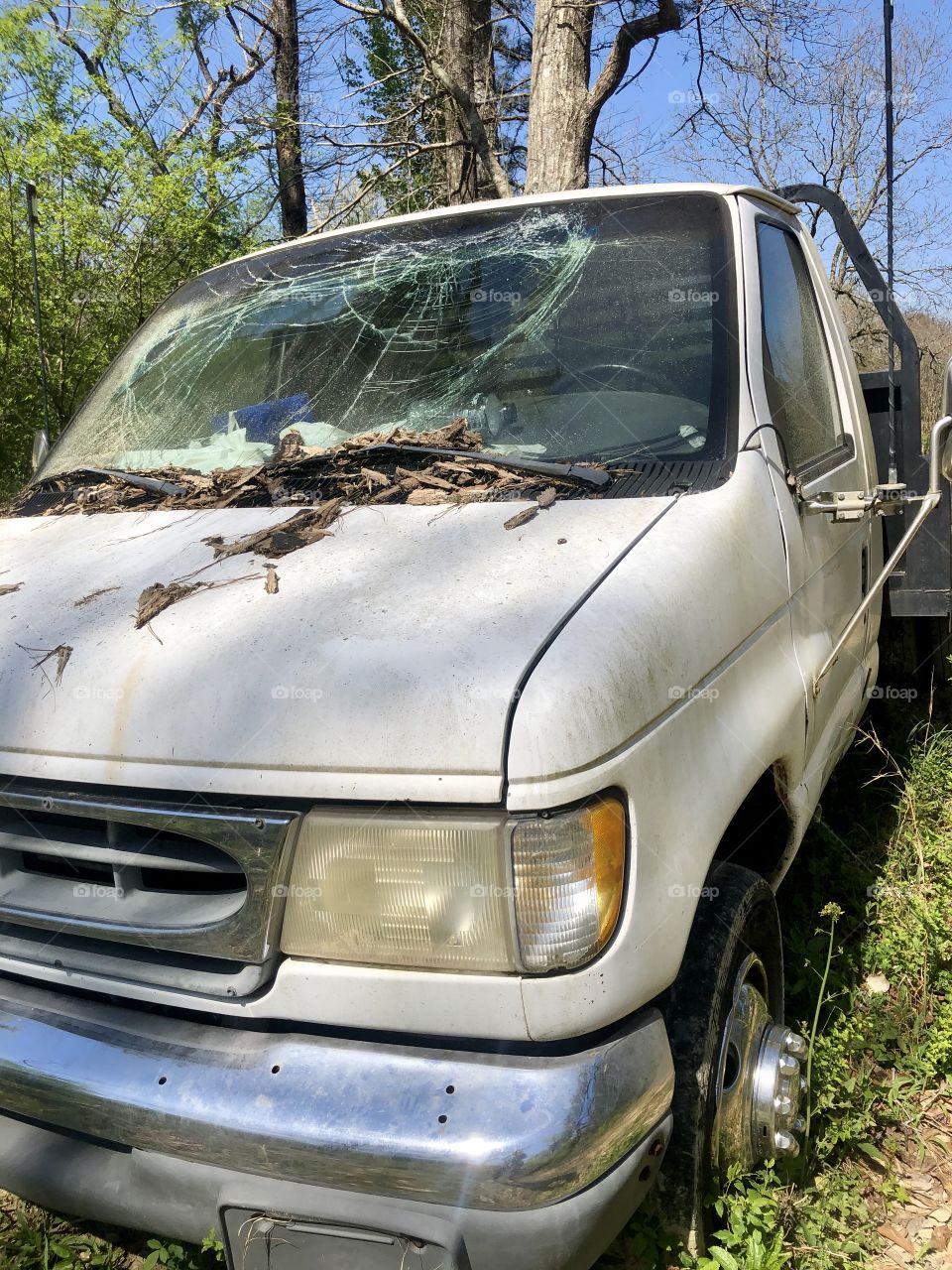 Old wrecked truck with broken windshield in the woods 