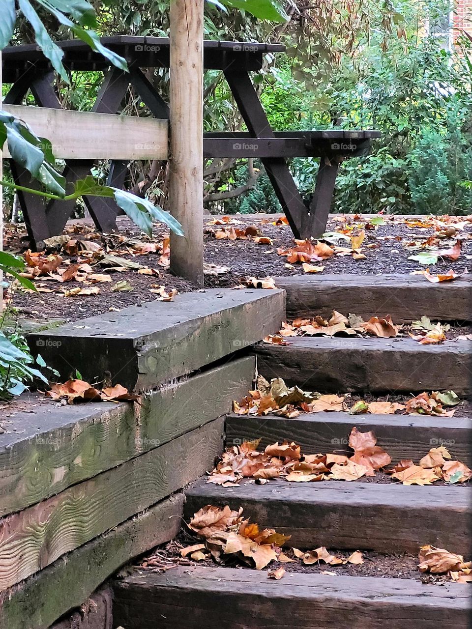 Autumn Leaves on the stairs