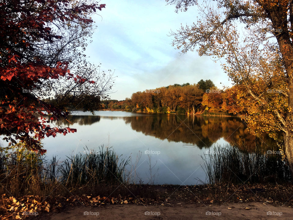 Autumn lake. 