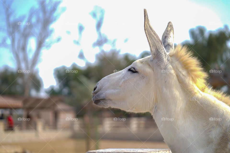 Editor’s choice. Photo of the week 