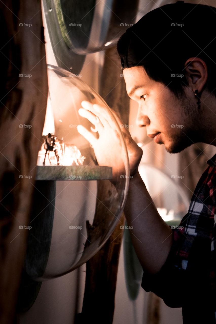 Fascinated by the display