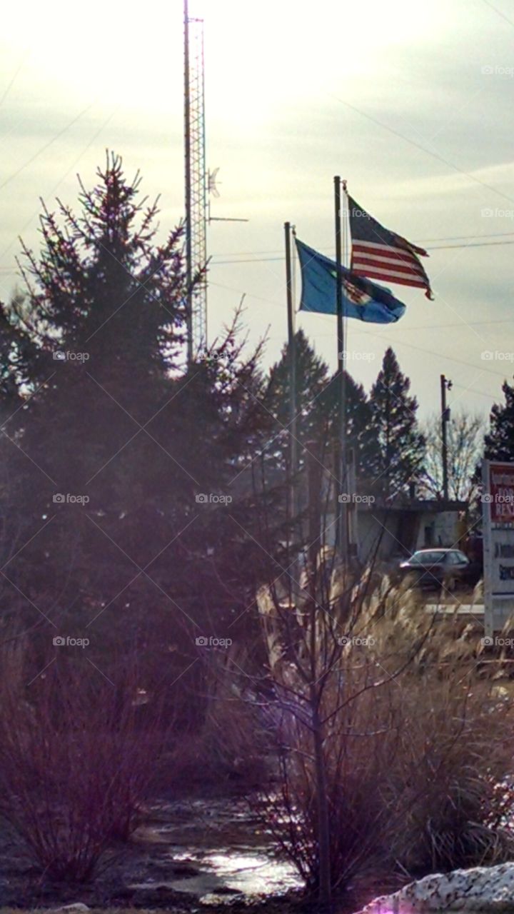 No Person, Flag, Tree, Landscape, Calamity