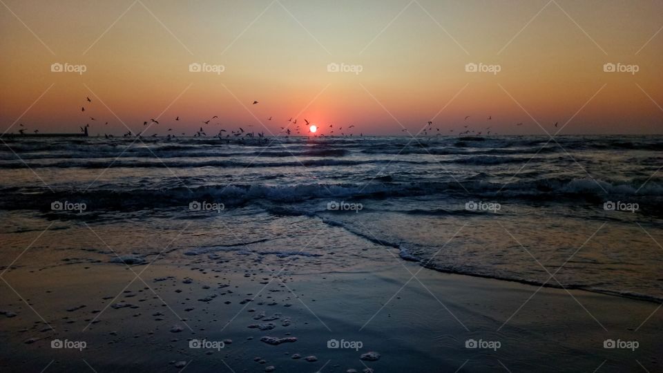 Sunset, Water, Beach, Sea, Ocean