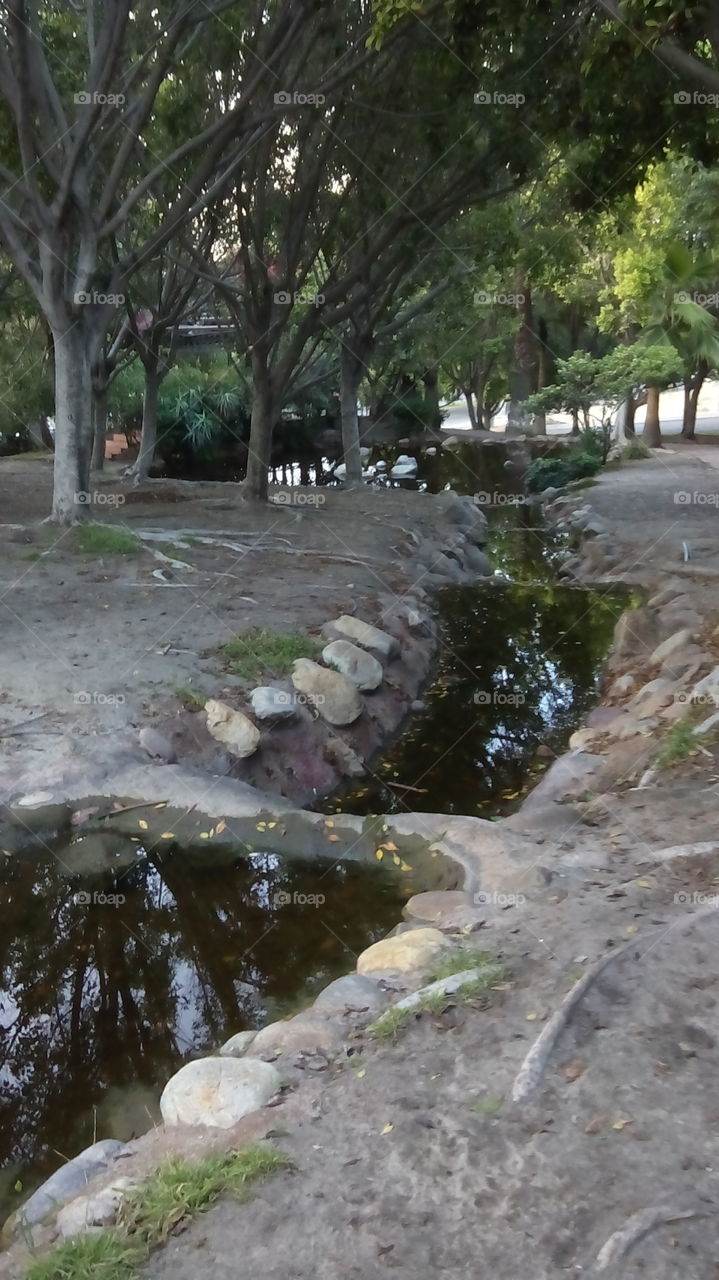 Creek. Creek at park 