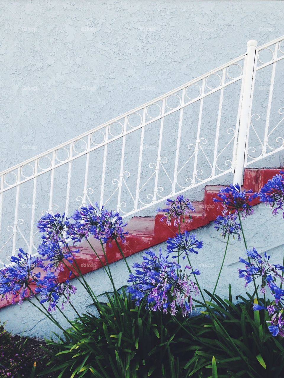 Flowers by stairs