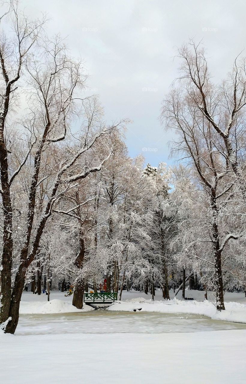 Winter landscape ❄️ White time ❄️ Snow season ❄️