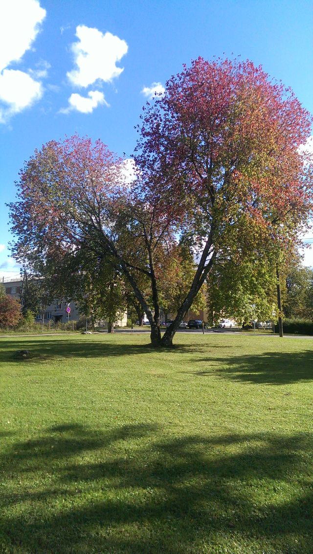 From summer to autumn