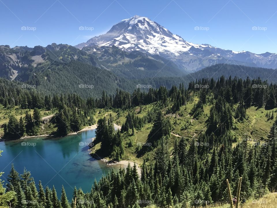 Mount Rainier from Tolmie Peak Trail (WA)