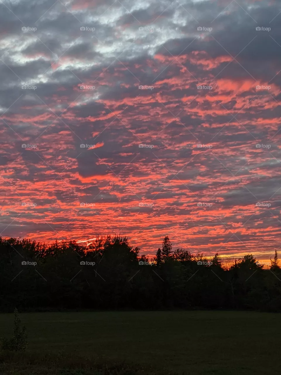 Summer sunset.