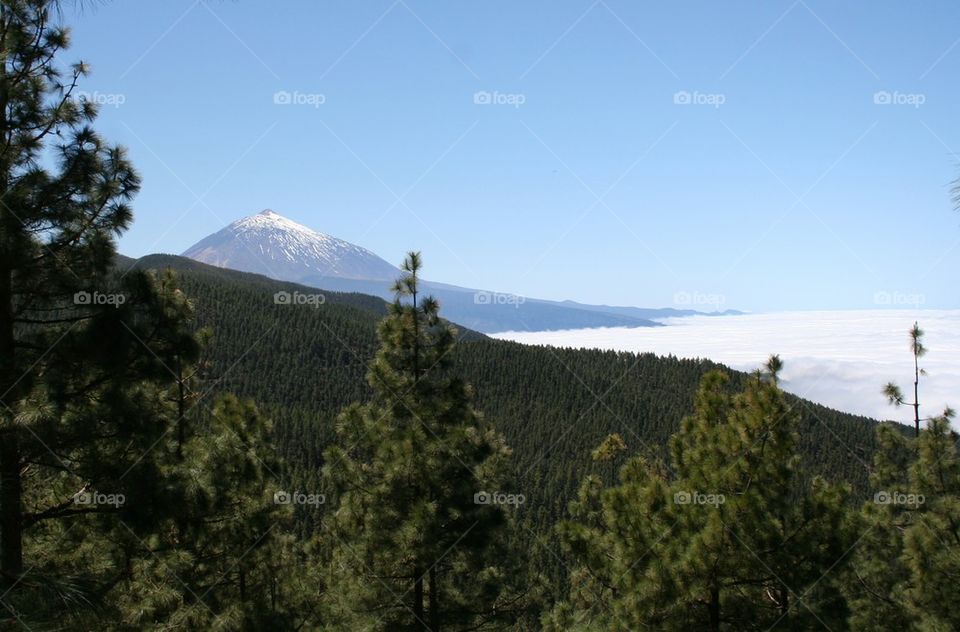 teide above the clouds