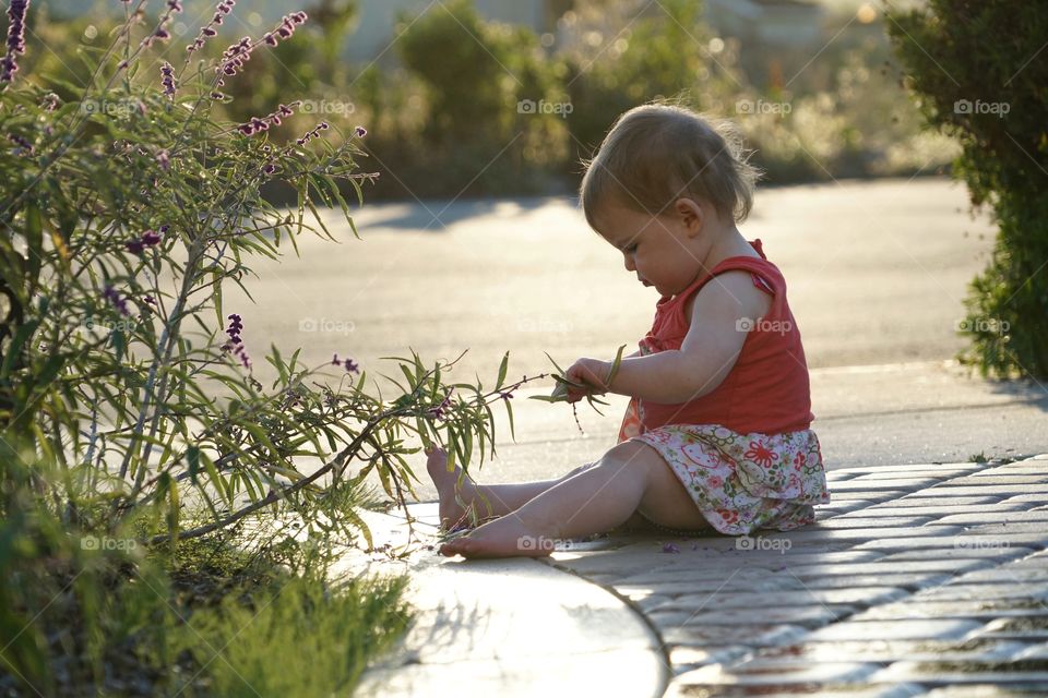 Child, Girl, Nature, Summer, Outdoors