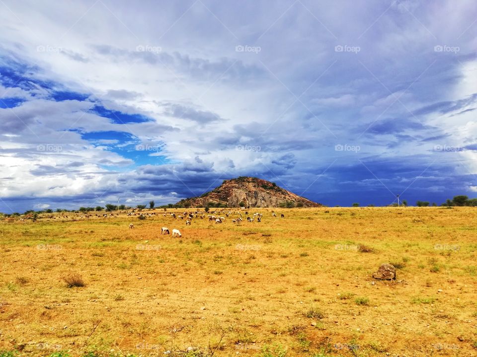 the landscape mode very attractive look