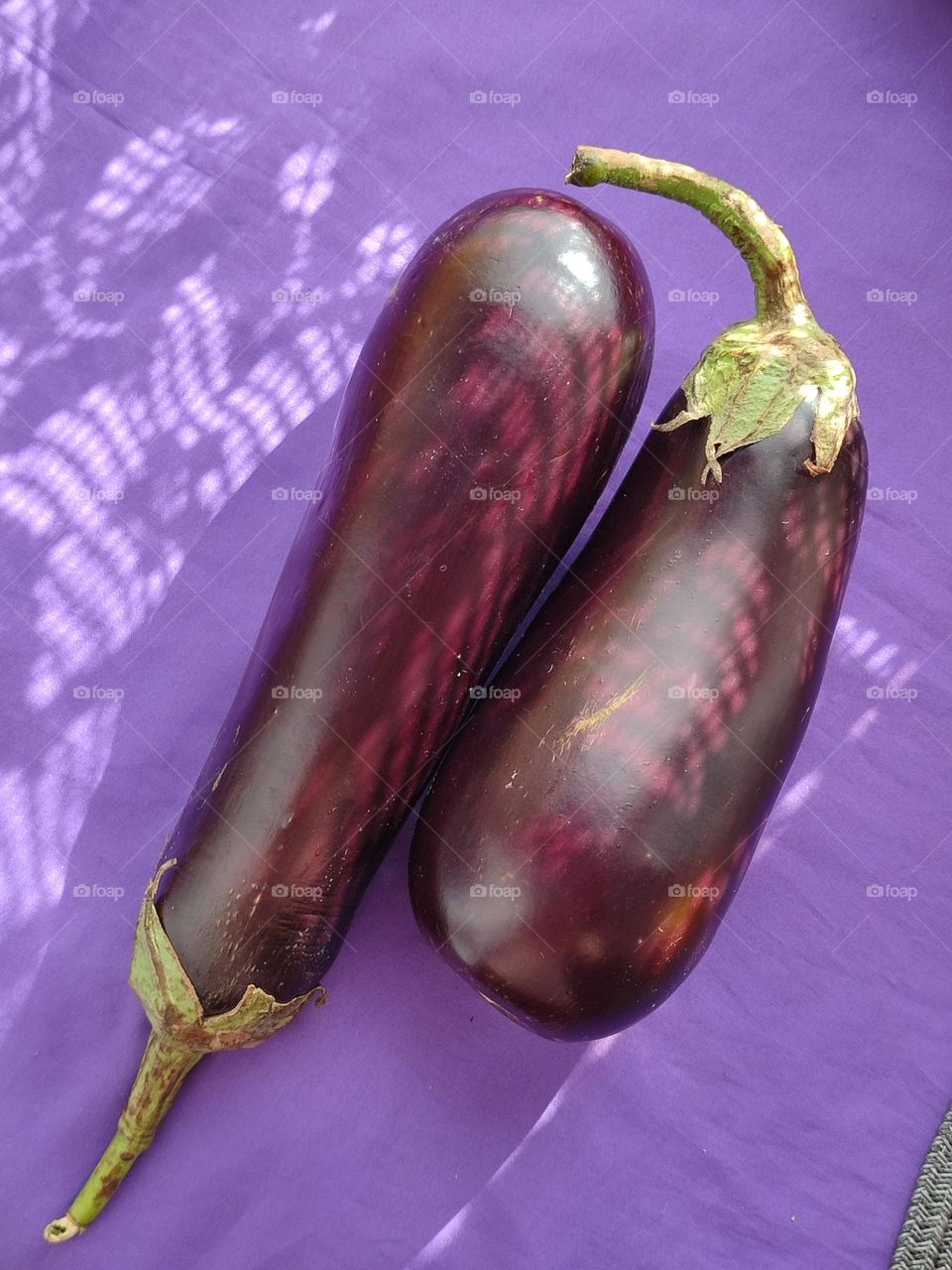 Capture the Power of Complementary Colors,