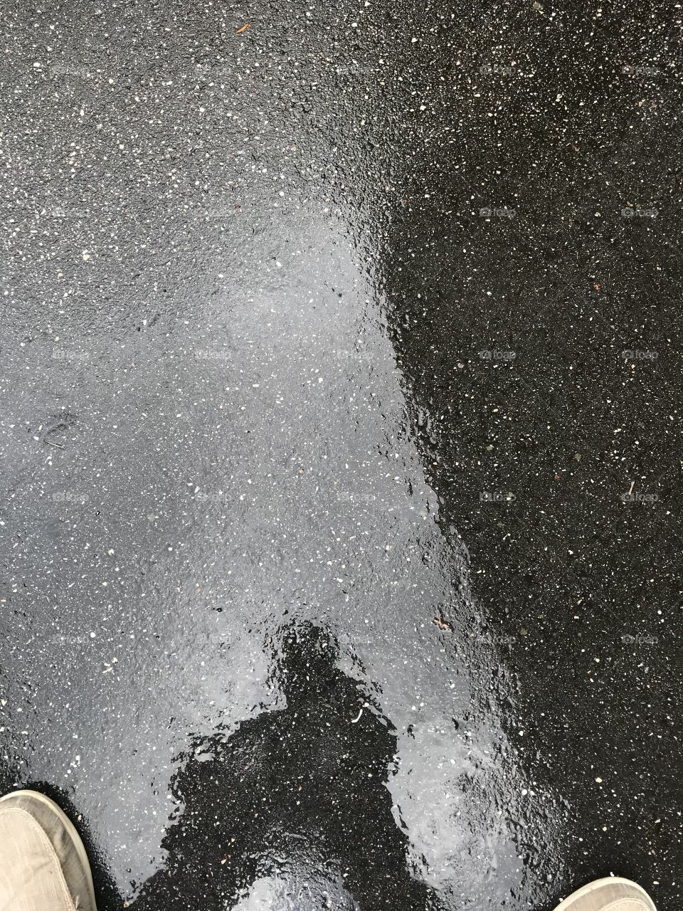 Rainy reflection 