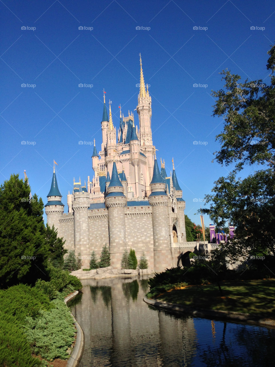 castle orlando disney magic kingdom by disneycjd