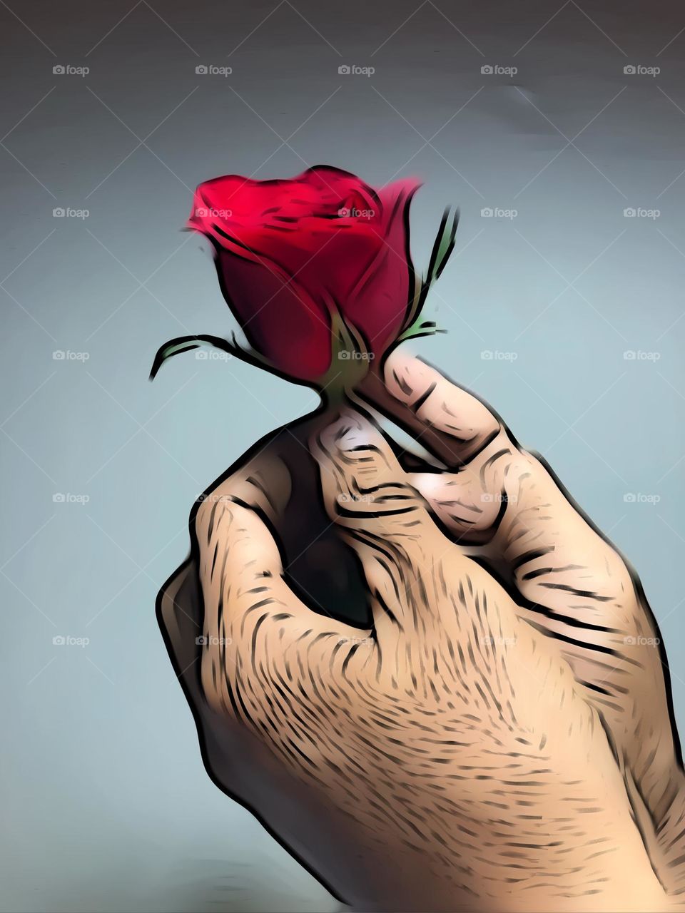 Two hand hold a red rose
