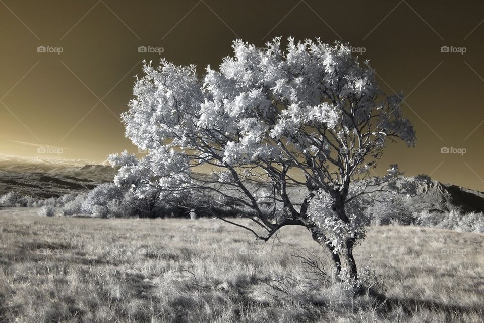Infrared country