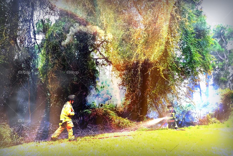 Heroic Firemen. Heroic Firemen extinguishing a brush fire.