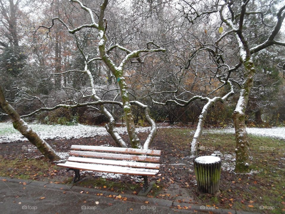 Parc de Mariemont , la Louvière
