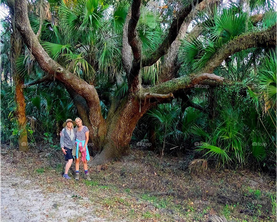 Sisters embrace below a mighty oak tree.