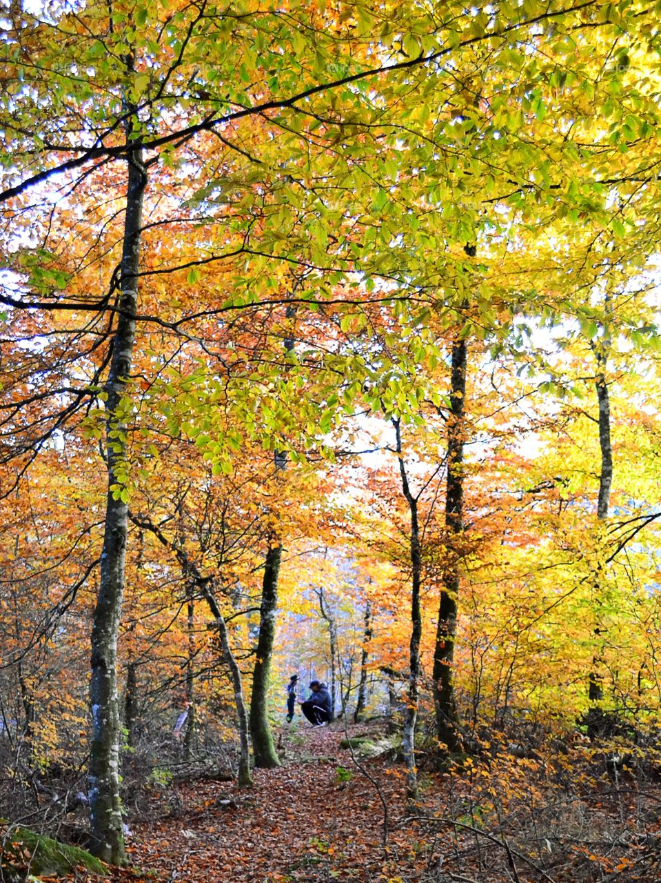 People in the end of a path