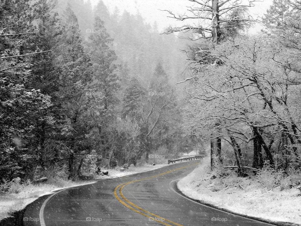 Snow Glazed Road
