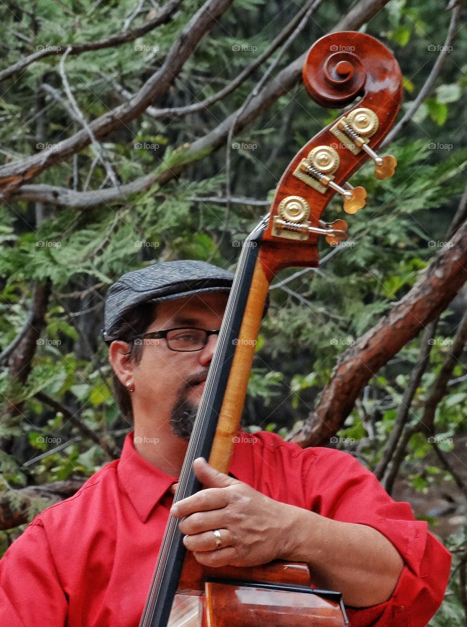 Bass Player. Bluegrass Musician Playing An Upright Bass
