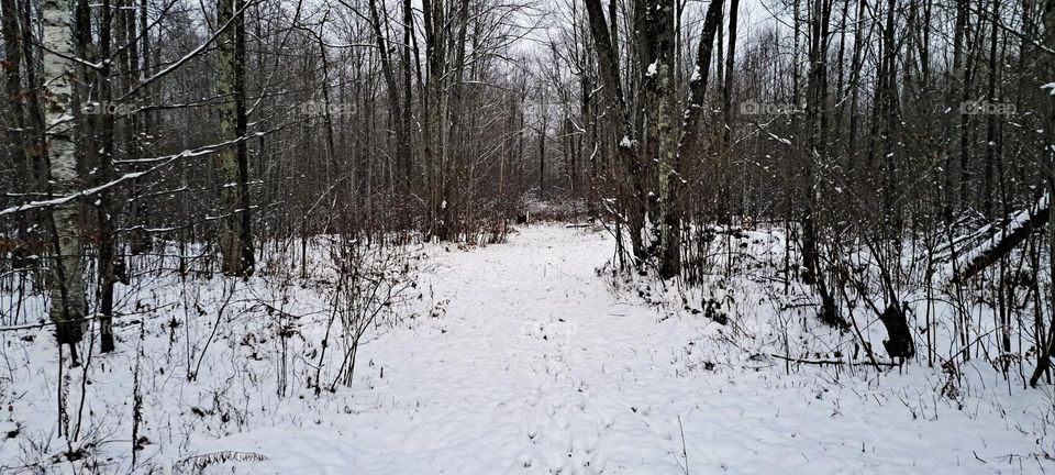 Sculpture Park Trail
